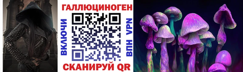 Купить где  Мариинск  Псилоцибиновые грибы Psilocybine cubensis 